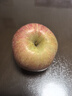 【东东农场专供】山东烟台红富士苹果脆甜多汁栖霞丑苹果 80mm+带箱5斤 实拍图