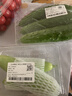 【水果菜】荷兰水果黄瓜约400g 实拍图