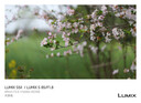 松下（Panasonic）Lumix S5M2 全画幅相机 L卡口 微单相机 无反数码相机 【2060原封套机】+【85mmF1.8白盒】套装 实拍图