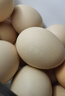 京鲜生 无抗保洁鲜鸡蛋30枚/盒 健康轻食 礼盒送礼 1.5kg/盒 源头直发 实拍图