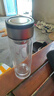 【京东物流配送】高硼硅双层玻璃杯大容量泡茶杯水杯子茶水分离杯 【活动】350ml1只 实拍图