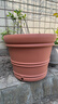 爱丽思（IRIS）特大号圆形花盆种树庭院超大加厚大盆景树木无花果蓝莓果树种植盆 热销*17号茶色 50L(口径51cm） 实拍图