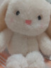 名创优品（MINISO）塔妮兔乖乖坐姿公仔兔子毛绒玩具儿童玩偶抱枕娃娃送礼生日礼物 实拍图