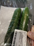 【水果菜】荷兰水果黄瓜约400g 实拍图