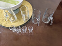 青苹果白酒杯分酒器套装 加厚玻璃一口杯品鉴小酒杯烈酒杯二两杯分酒壶 实拍图