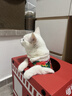 妙三多预防猫瘟猫鼻支英特威猫三联疫苗1针 实拍图