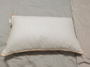 京东京造雪花枕 限选100%鹅腹小朵雪花毛蓬松枕头男女颈椎枕芯羽毛羽绒枕 实拍图