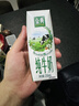 伊利【新鲜日期】金典纯牛奶早餐奶整箱250ml*16盒 3.6g乳蛋白 礼盒装 实拍图