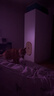 疯狂的主人剑麻垫子猫抓板窝耐磨不掉屑猫爪板防猫抓贴墙猫玩具保护沙发磨爪 实拍图