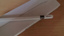 Apple/苹果 Pencil(USB-C) 磁吸触控笔手写笔苹果笔电容笔ipad笔 适用iPad 11/mini/Pro/Air 实拍图