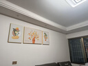 猫九酱奶油风客厅装饰画简约现代小清新花卉三联画高级感沙发背景墙挂画 实拍图