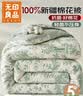 无印良品100%新疆棉花被子 单人学生春秋被芯四季棉被5斤 150*200cm 实拍图