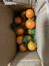 正宗广西桂林马水砂糖橘沙糖桔新鲜水果当季蜜桔桂林橘子贡柑整箱 带箱1斤 小果（30-40mm） 实拍图