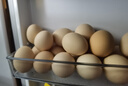京鲜生 无抗保洁鲜鸡蛋30枚/盒 健康轻食 礼盒送礼 1.5kg/盒 源头直发 实拍图