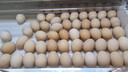 京鲜生 无抗保洁鲜鸡蛋30枚/盒 健康轻食 礼盒送礼 1.5kg/盒 源头直发 实拍图