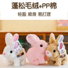 威尔通（WELTSTON）毛绒公仔跳舞布娃娃玩偶玩具儿童生日礼物礼品女生电动宠物小白兔 实拍图