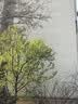 SNOOPY史努比童鞋男童运动鞋秋季耐磨跑步鞋小学生休闲鞋3807米灰33 实拍图