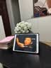 Apple/苹果 二手平板电脑  2022/2021/2020/19/18/17款 iPad游戏 95新iPad Air3 256G WiFi版 赠品 触摸笔 保护壳 充电器 钢化膜 实拍图