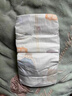 宜婴新梦想家全包臀小内裤2XL34片拉拉裤超薄【品牌直供 安心品质】 实拍图