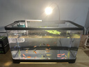 阔庭鱼缸懒人鱼缸家用客厅办公室金鱼缸过滤鱼缸黑色款 实拍图