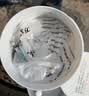万消灵游泳池消毒剂消毒泡腾片2g/片含氯50%三氯异氰尿酸5KG/桶 实拍图