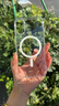 ALittleFlower【热销40W+冰透散热】适用苹果16手机壳iphone16保护套新款磁吸超薄防摔软壳高透白男女款简约 实拍图