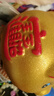 美纳美金猪存钱罐新年春节送礼礼物只进不出儿童陶瓷储蓄罐储钱罐大容量 【可存可取款】福气猪-送金垫 6寸-长宽高【15*13*11】存1.5万 实拍图