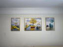 诗六艺家饰客厅装饰画北欧现代简约沙发背景墙挂画三联画大气轻奢壁画晶瓷画 富贵有余（铝合金外框） 晶瓷画左右40*60+中间80*60亮面 实拍图