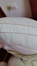 水星家纺蚕丝枕头枕芯A类60支全棉面料抗菌柔软蚕丝护颈枕头芯家用一对 实拍图
