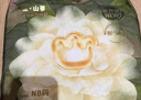 babycare金山茶花婴儿纸尿裤mini装NB34片(<5kg)新生儿尿不湿【新老混发】 实拍图