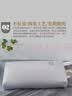 上梵全荞麦枕头荞麦皮枕芯睡眠枕高山苦荞壳颈椎草本枕配长绒棉枕套 实拍图