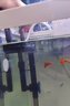 森森（SUNSUN）鱼缸过滤器壁挂式抽水泵外置小型过滤桶YBG-400 5W 实拍图