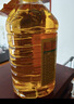 鲁花 食用油  物理压榨  非转基因 玉米油6.18L   实拍图