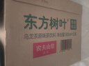 农夫山泉东方树叶乌龙茶900ml*12瓶无糖茶饮料0糖0脂0卡大瓶整箱 实拍图