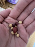九月的诗有机豆浆豆1.7斤豆类组合打豆浆原料黑豆红豆黄豆高蛋白早餐代餐 实拍图