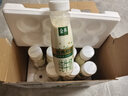 伊利金典3.8g乳蛋白 鲜活纯牛奶250ml*8瓶 30天常温短保 礼盒装 实拍图