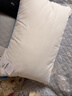 水星家纺枕头枕芯酒店枕头护颈枕头芯家用一对抑菌防螨可水洗中枕48x74cm 实拍图