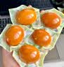 杨生记卤蛋 泡面搭档卤蛋休闲零食办公室零食五香卤蛋150g（5只装） 实拍图