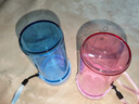 特百惠（Tupperware）雅致2件套300ML塑料杯男女士学生儿童夏季水杯子户外便携 随机色 实拍图