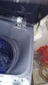 志高（CHIGO）全自动洗衣机 波轮宿舍迷你小型家用 洗烘一体 智能洗脱一体机 大容量 风干 波轮 12KG 智能风干 蓝光洁净 强力去污 实拍图