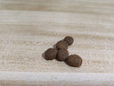 纽顿T28鱼肉味中小型犬狗粮40g(试吃装) 实拍图