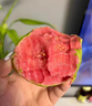 甜盟 新鲜红心芭乐【多地区次日达】广西白心奶油软芭乐双拼番石榴 3斤净重升级红心芭乐 实拍图