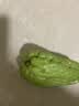晓甜云南佛手瓜新鲜整箱丝瓜洋瓜寿瓜丰收瓜孕妇宝宝蔬菜单果200g起 净重5斤 实拍图