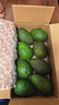 山姆大叔 金奖·哈斯牛油果【闪送】智利鳄梨非即食新鲜牛油果水果礼盒装 【金奖级】巨无霸丨约150-180g 8枚【热销* 超值推荐】普装 实拍图