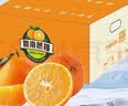 江西赣南早脐橙整箱当季新鲜早橙子榨汁水果礼盒皮薄多汁节日团购 【实惠】净重9斤单个150g+ 实拍图