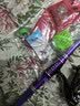 狼王乐钓鱼竿短节超硬海竿抛竿海钓远投竿海杆套装碳素甩杆鲢鳙钓组 远投3.0米+狼王乐钓5000金属轮+礼品 实拍图