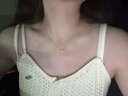 Cindy Kelly高级感精致项链女实用轻奢走心锁骨链生日母亲节礼物实用送妈妈 一颗钛金小钻【送老婆女友实用高档】 实拍图