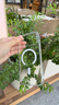 ALittleFlower【热销40W+冰透散热】适用iPhone17 ProMax手机壳苹果17ProMax保护套新款磁吸苹果超薄防摔高透白 实拍图