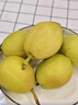 京鲜生 新疆库尔勒香梨 净重8斤 单果120g+ 生鲜水果 实拍图