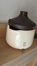 苏泊尔（SUPOR）电炖锅电炖盅 电砂锅 煲汤炖汤锅燕窝炖盅 煮粥神器 电煮锅煲粥熬粥专用锅 家用DG40YC851多功能锅 实拍图